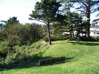 Scenic Park field