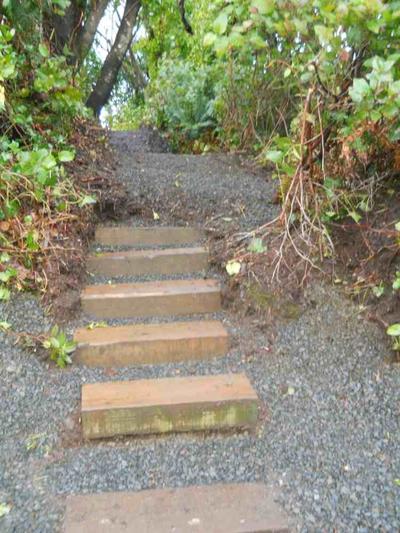 Graham Trail steps going up